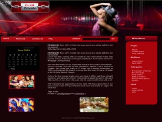 Product picture PLR Wordpress Themes v3.0-Accelerate Your Income