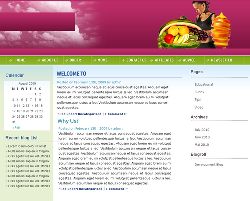 Product picture Make Money Online With This Diet WordPress Theme v3.0